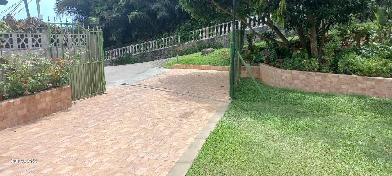 Loversnest Self Catering Anse aux Pins Extérieur photo