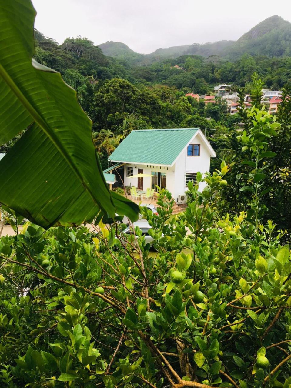 Loversnest Self Catering Anse aux Pins Extérieur photo